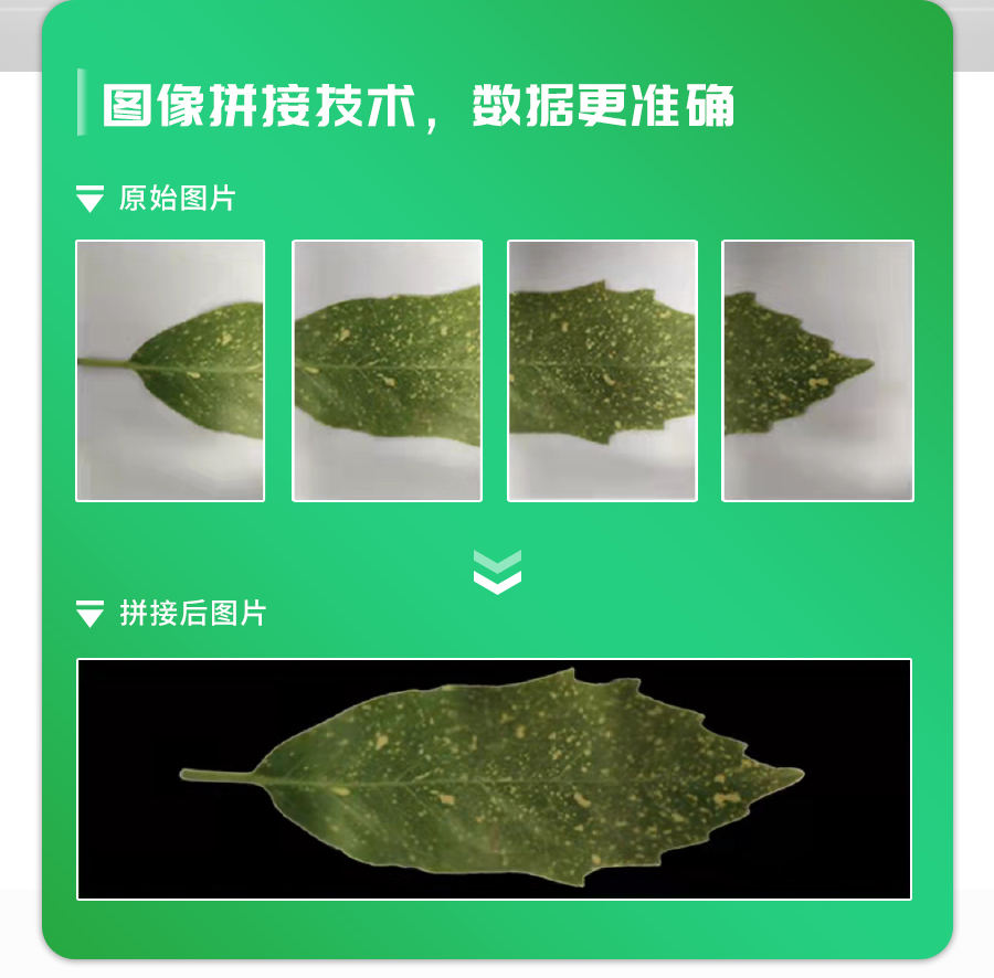 活體葉面積測定儀