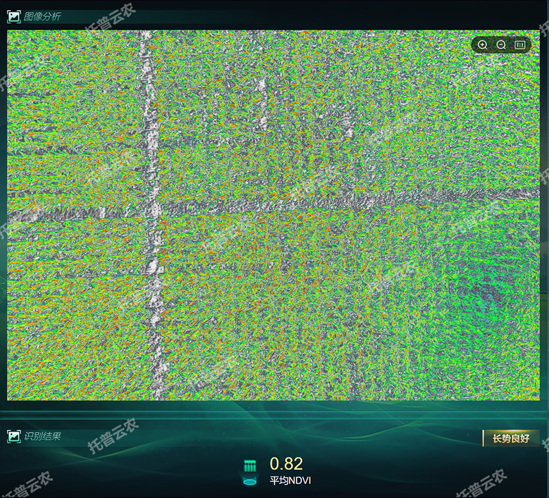 【原圖】多光譜遙感植物表型分析系統5.png